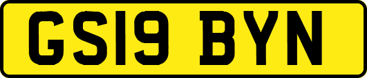 GS19BYN