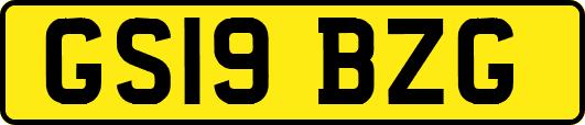 GS19BZG