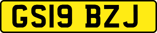 GS19BZJ