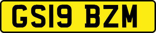 GS19BZM