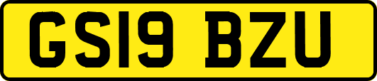 GS19BZU