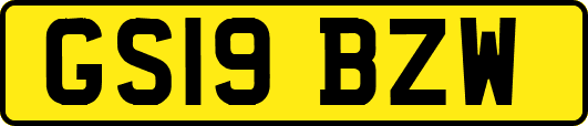 GS19BZW