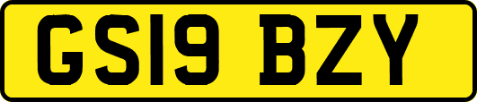 GS19BZY