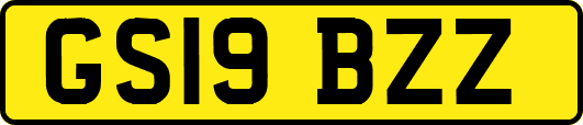 GS19BZZ