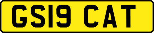 GS19CAT