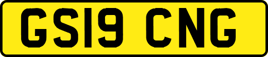 GS19CNG