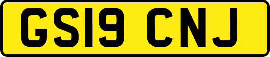 GS19CNJ