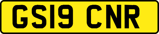 GS19CNR