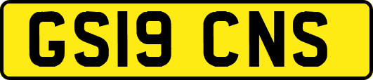 GS19CNS