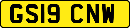 GS19CNW