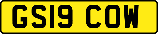 GS19COW