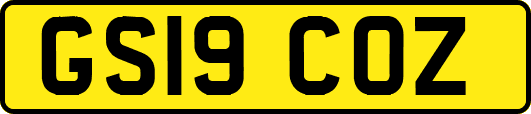 GS19COZ