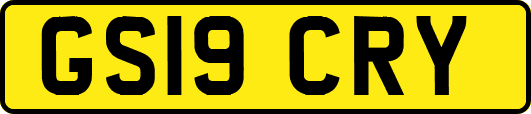 GS19CRY
