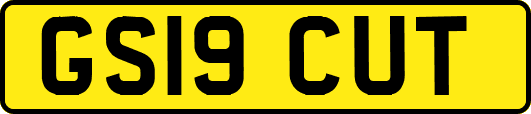 GS19CUT