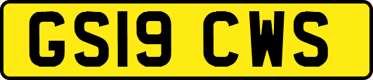 GS19CWS