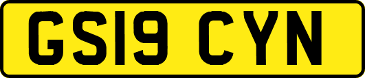 GS19CYN