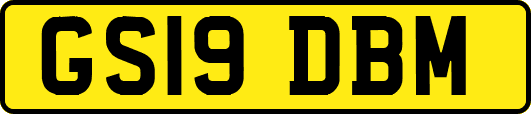 GS19DBM