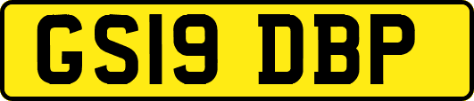GS19DBP