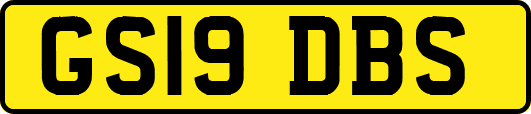 GS19DBS