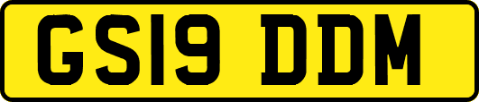 GS19DDM