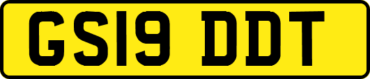 GS19DDT