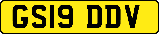 GS19DDV