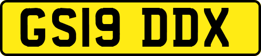 GS19DDX