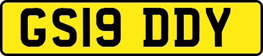 GS19DDY