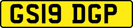 GS19DGP