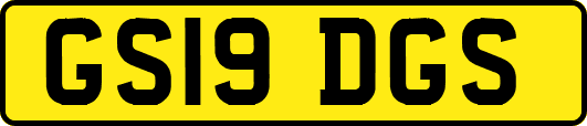 GS19DGS