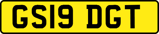 GS19DGT