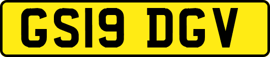 GS19DGV