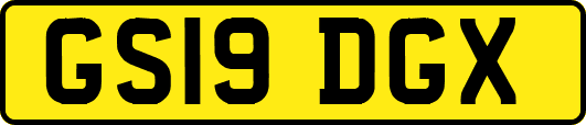 GS19DGX