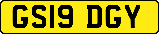 GS19DGY