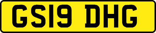 GS19DHG
