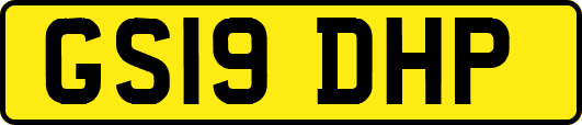 GS19DHP