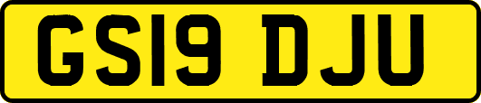GS19DJU