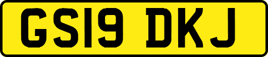 GS19DKJ