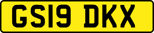 GS19DKX