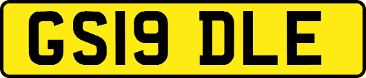 GS19DLE