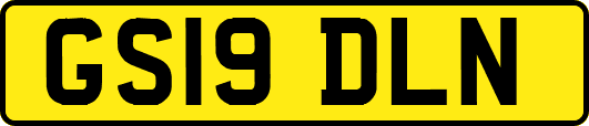 GS19DLN
