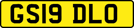 GS19DLO