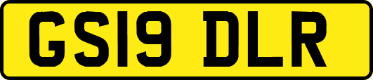 GS19DLR