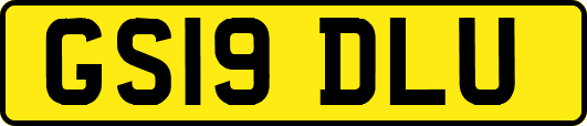 GS19DLU