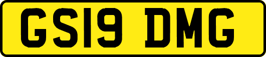 GS19DMG