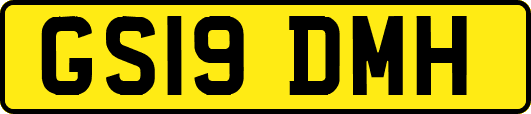 GS19DMH