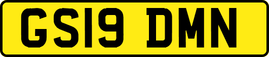 GS19DMN