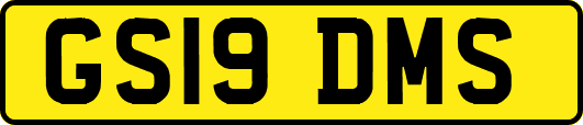 GS19DMS