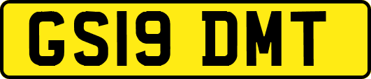 GS19DMT