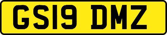 GS19DMZ
